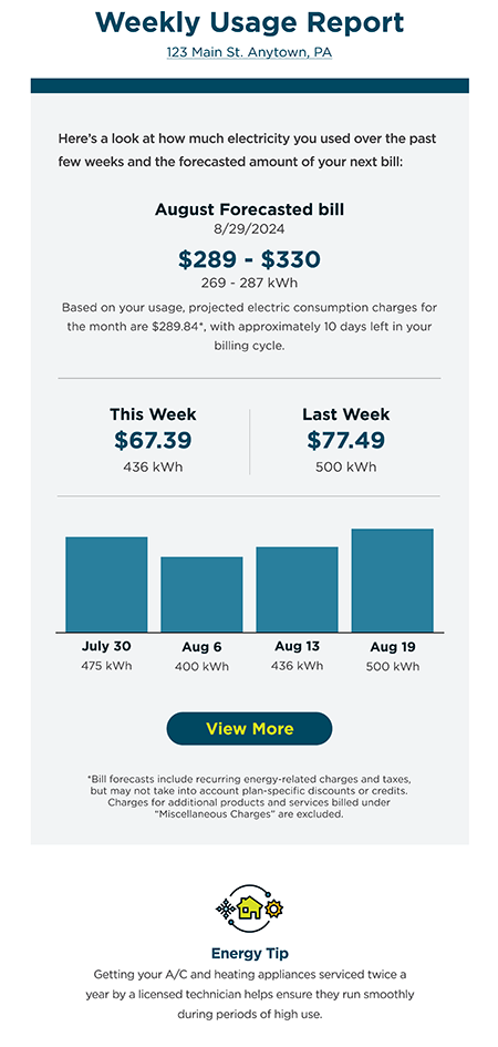 Weekly Usage Report